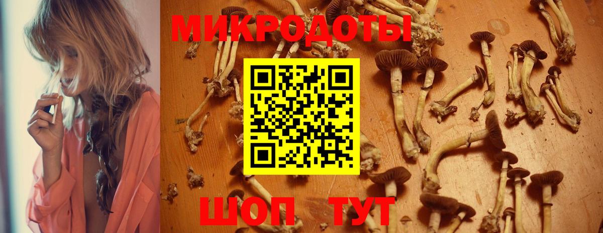 Галлюциногенные грибы Psilocybine cubensis Арзамас